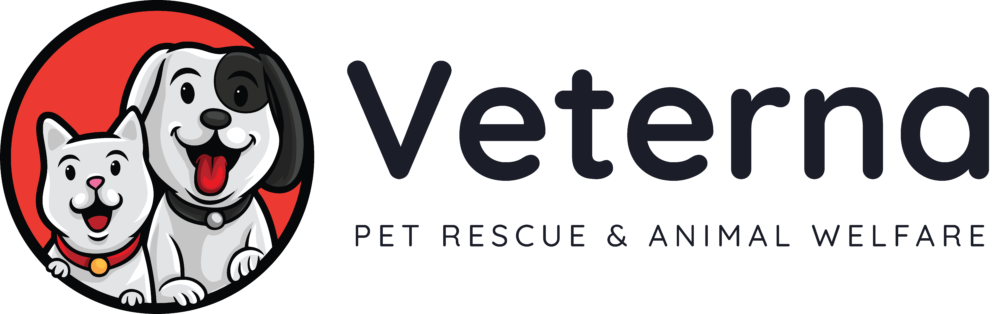 Adopt Exotic Birds - Adopt Exotic Birds Online Today